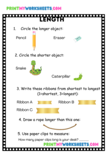 1st Grade Worksheet Collection