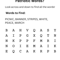 Flag Learning Activity