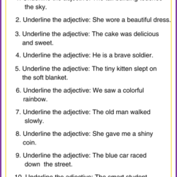 Collection Resource 28